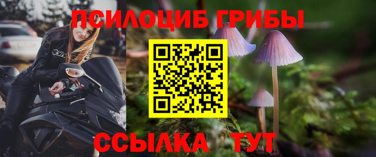 Псилоцибиновые грибы мицелий  наркота  Вход с VPN  Славгород  Псилоцибиновые грибы прущие грибы 