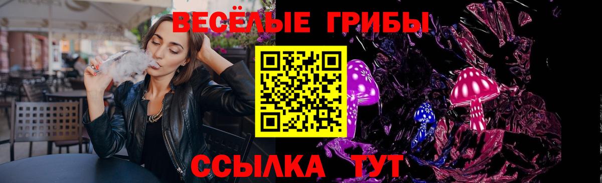Псилоцибиновые грибы мицелий Славгород